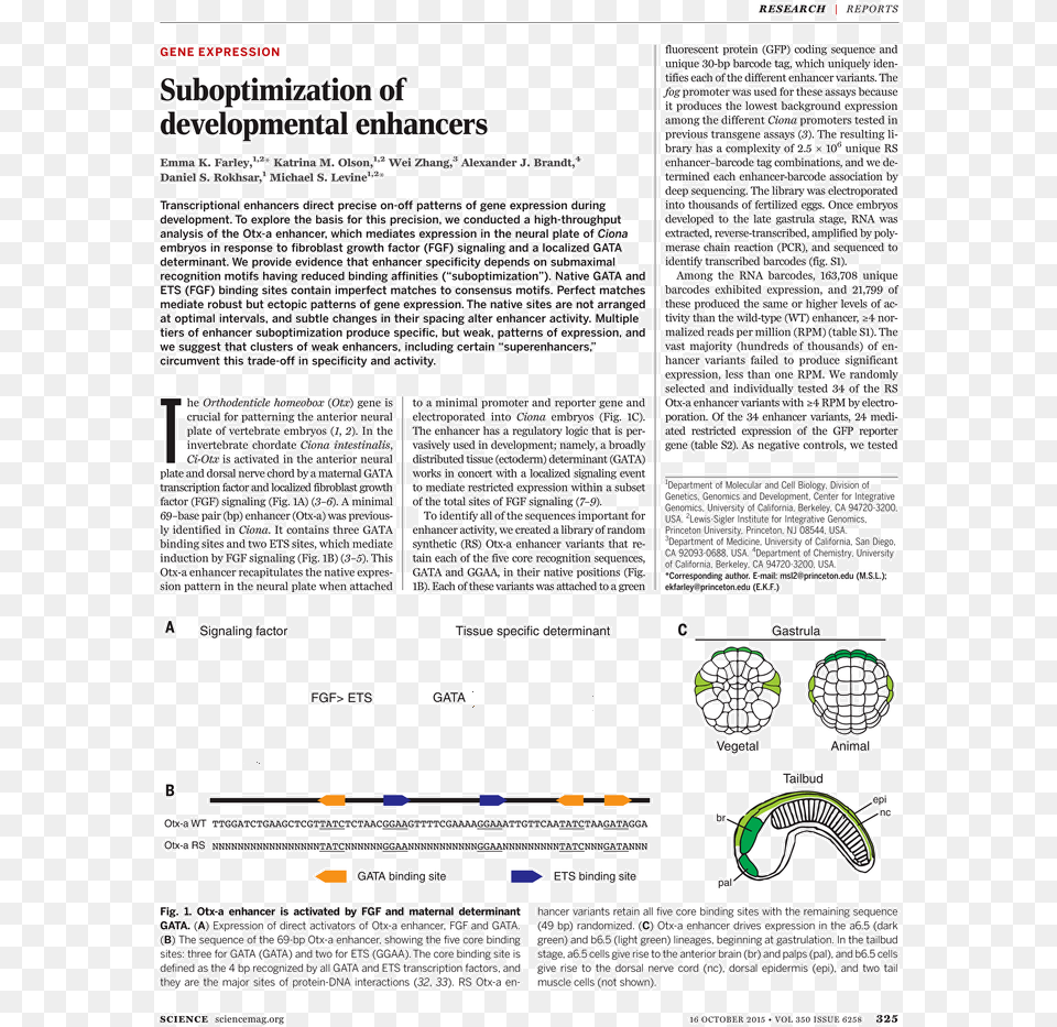 Document, Page, Text, Advertisement Free Transparent Png