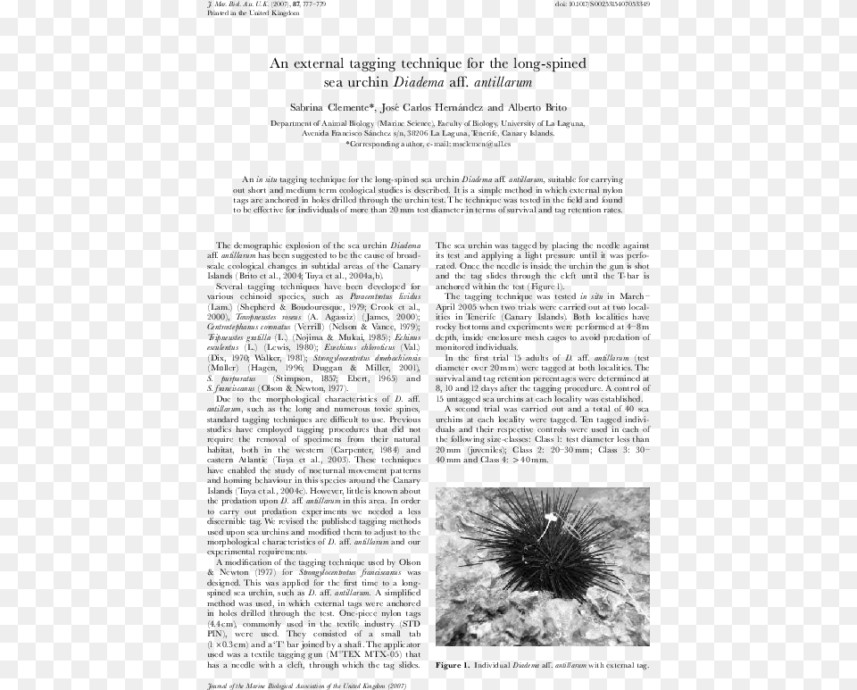 Document, Animal, Sea Life, Invertebrate, Urchin Png Image