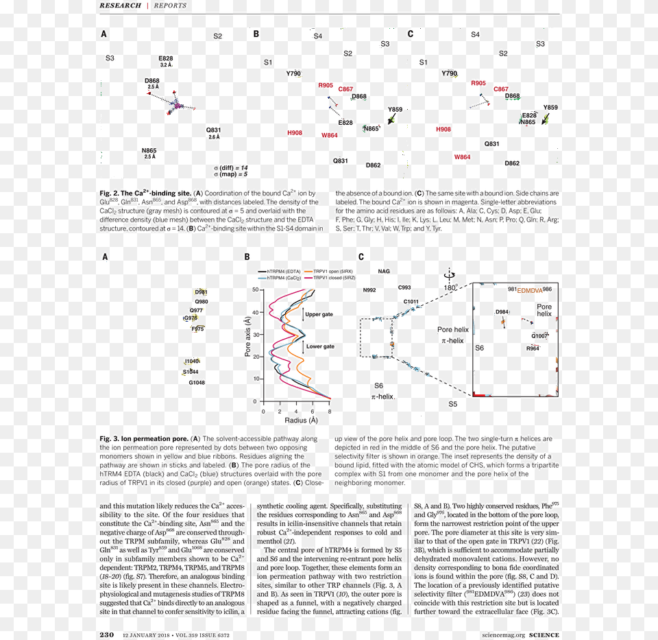 Document, Person Free Png