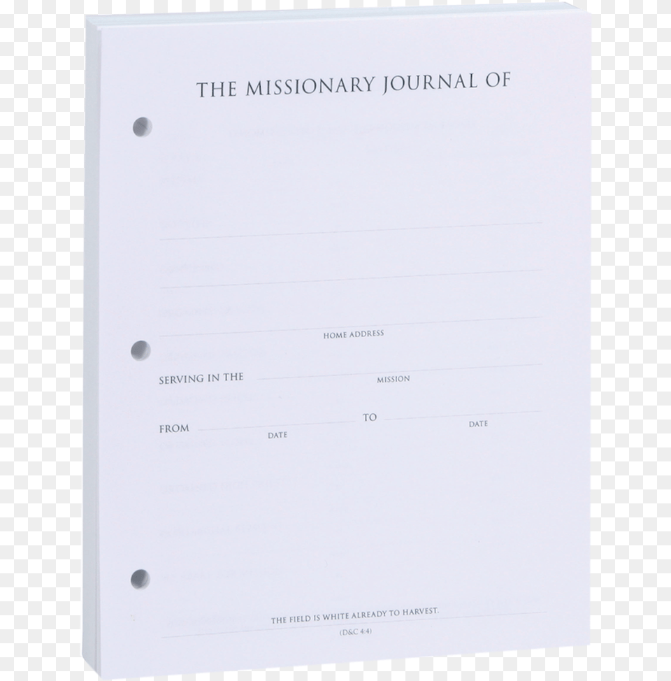 Document, Page, Text, White Board Free Transparent Png