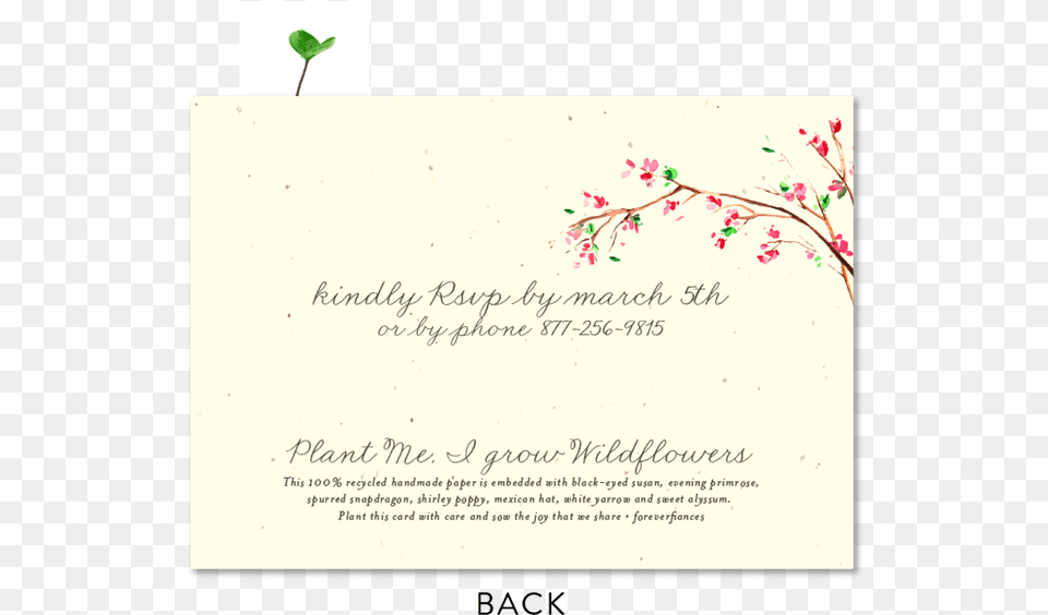 Document, Envelope, Greeting Card, Mail, Flower Png