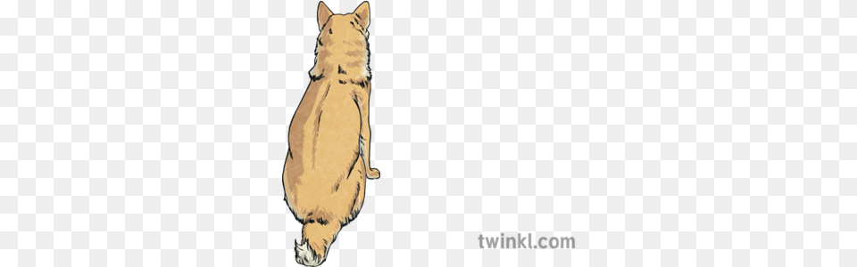 Dodge Back Shot Dog Animal Pet Soft, Cat, Mammal, Manx Free Png Download