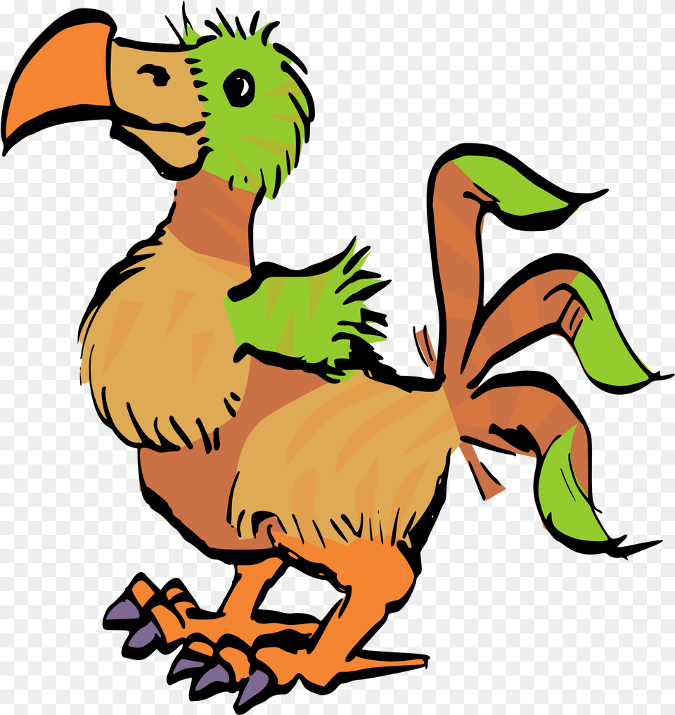 Dodo, Baby, Person, Animal, Bird Free Png Download