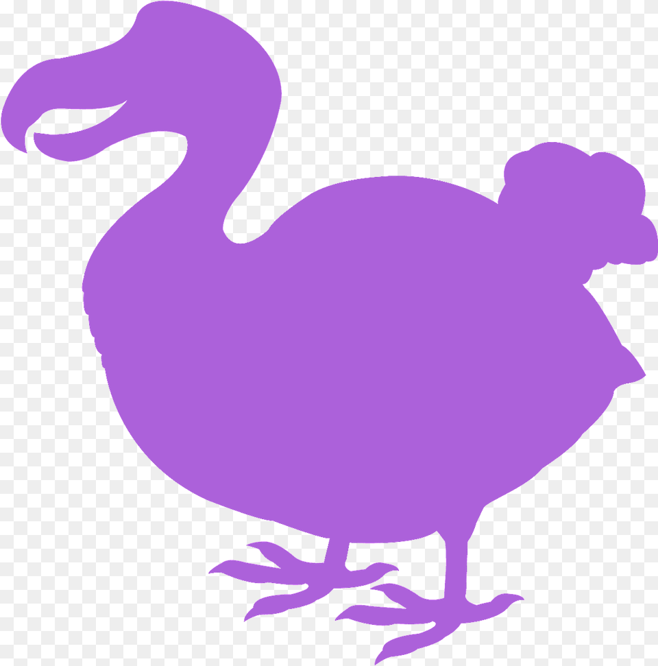 Dodo Bird Silhouette, Animal Png