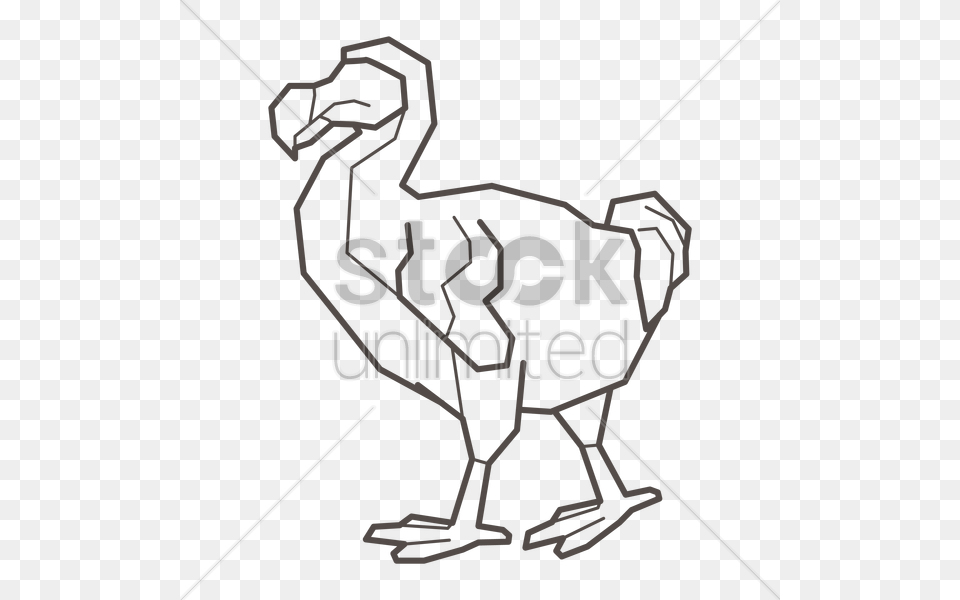 Dodo Bird Vector Image, Animal Free Png