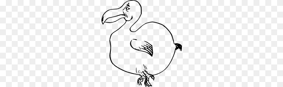 Dodo Clipart, Animal, Baby, Bird, Person Png Image