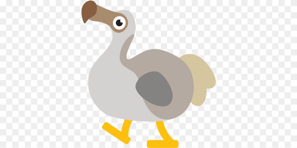 Dodo Clipart Turkey, Animal, Bird, Person Png Image