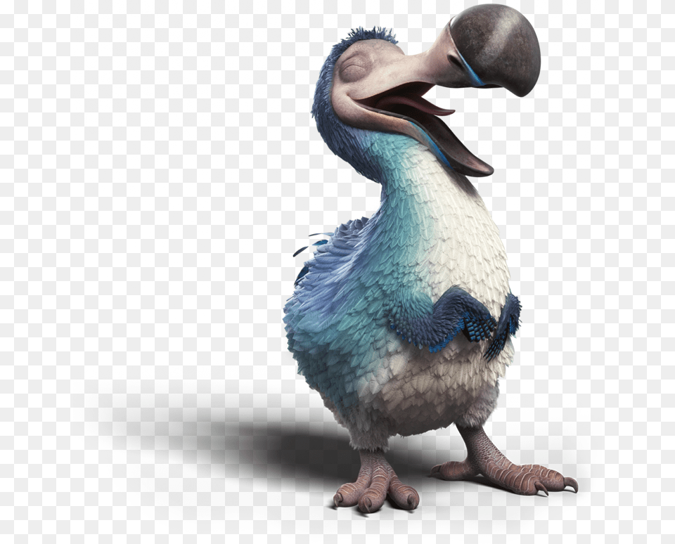Dodo Laughing Dodo Bird 4k, Animal Free Png