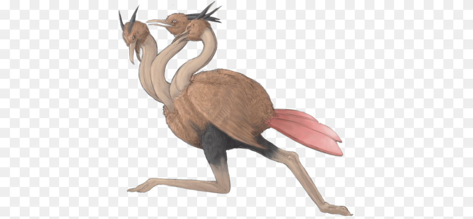 Doduo Do Have Wings But They Are Too Small To Fly Real Dodrio, Animal, Beak, Bird Png Image