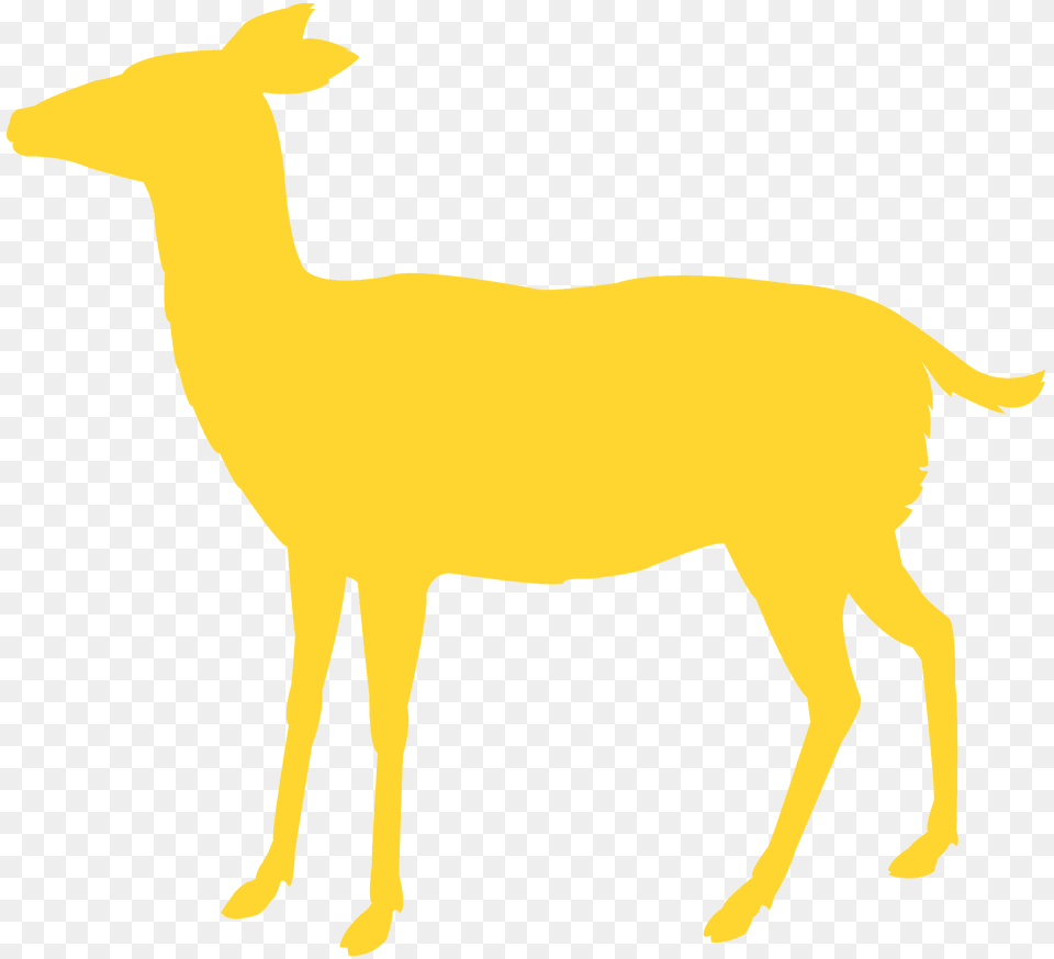 Doe Silhouette, Animal, Deer, Mammal, Wildlife Free Png