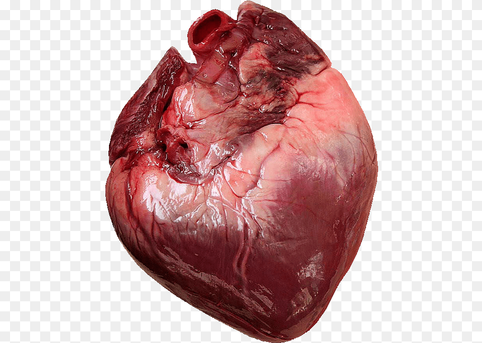 Does A Human Heart Look Like, Food, Meat Free Transparent Png