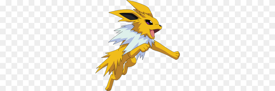 Does Anyone See Zeraora As A Fusion Ish Of Raikou Jolteon, Person Png