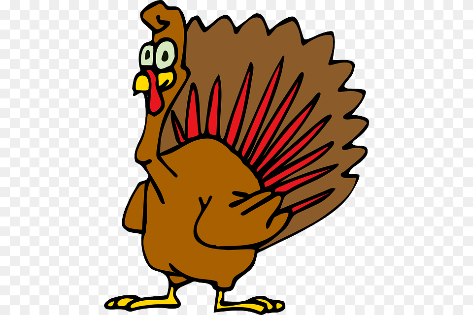 Does Eating Turkey Make You Sleepy, Animal, Bird, Fowl, Poultry Png Image
