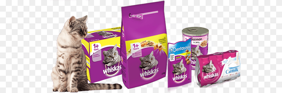 Does Your Cat Love Whiskas Whiskas 1 Cat Pouches Poultry In Jelly 12 X 100g Pack, Animal, Mammal, Pet Png Image