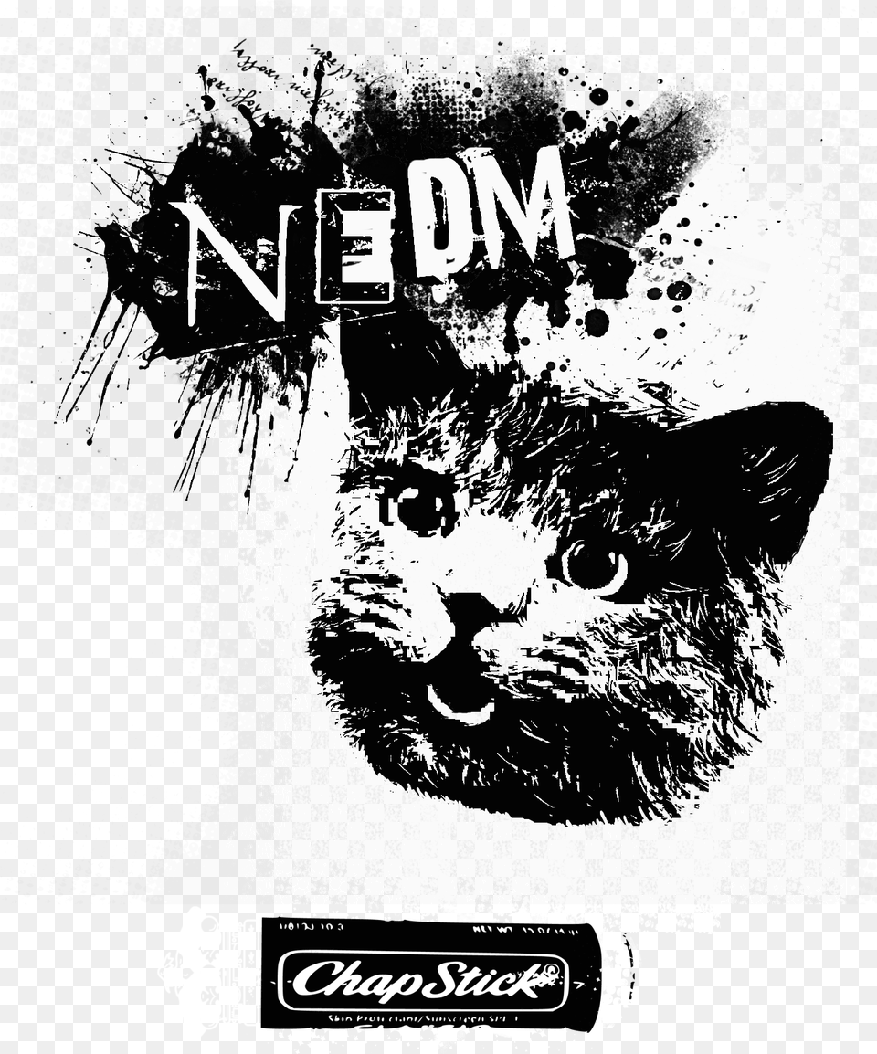Dofus Cat Black And White Poster Text Cat Font Small Poster, Advertisement, Adult, Wedding, Person Free Png Download