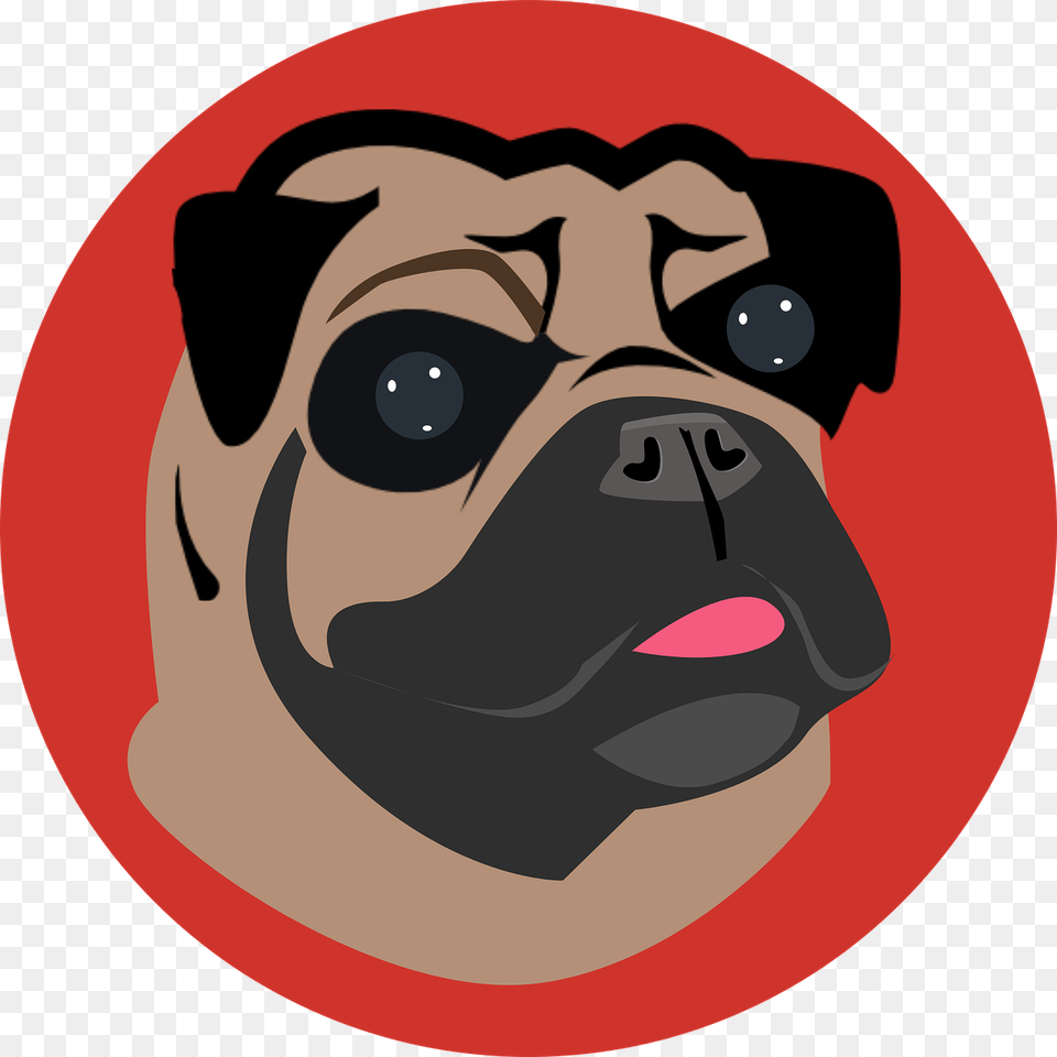 Dog, Photography, Snout, Pug, Pet Free Png