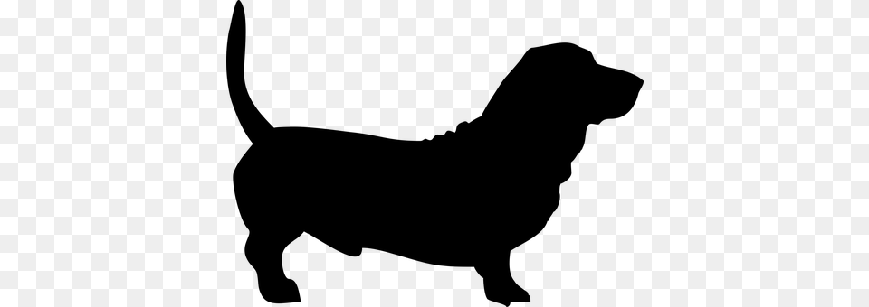 Dog Gray Free Transparent Png