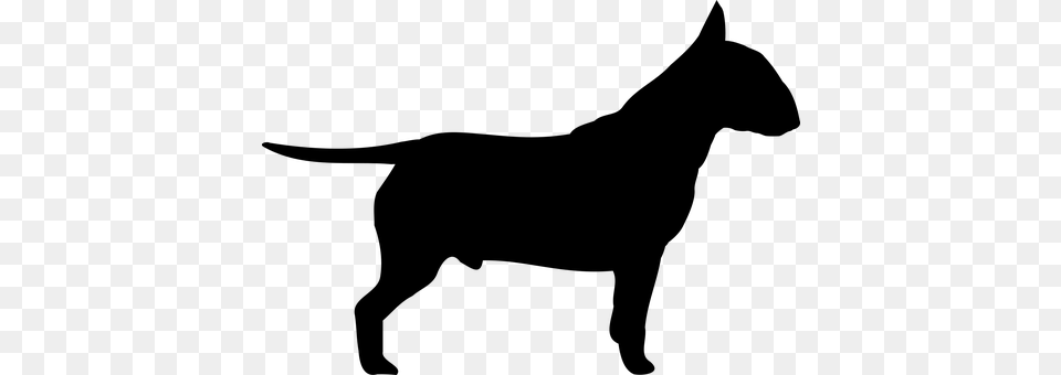 Dog Gray Free Png