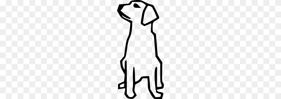 Dog Gray Free Png