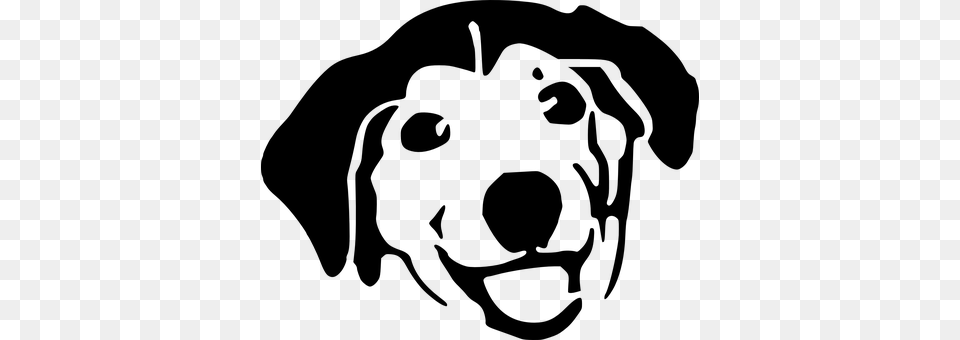 Dog Gray Free Png Download