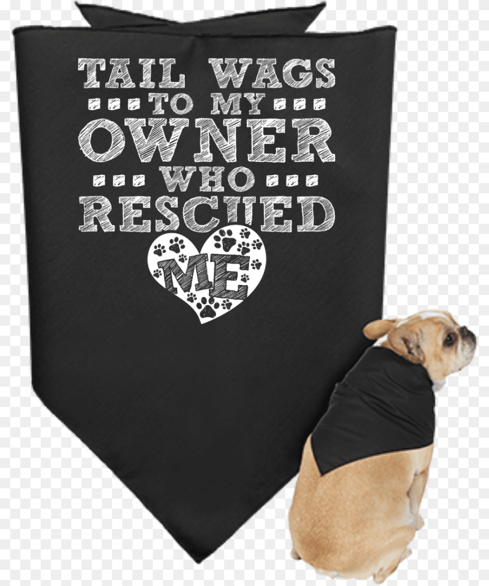 Dog, Accessories, Formal Wear, Tie, Canine Free Transparent Png