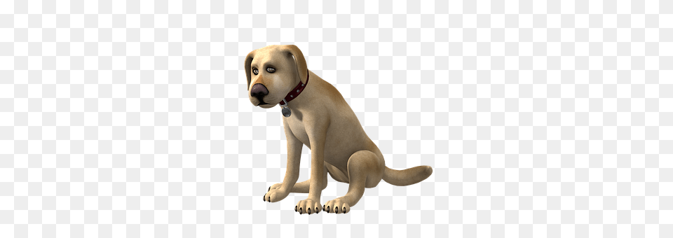 Dog Animal, Canine, Mammal, Pet Free Png