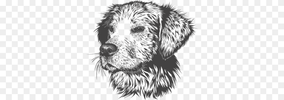 Dog Person, Art, Drawing, Face Free Png Download