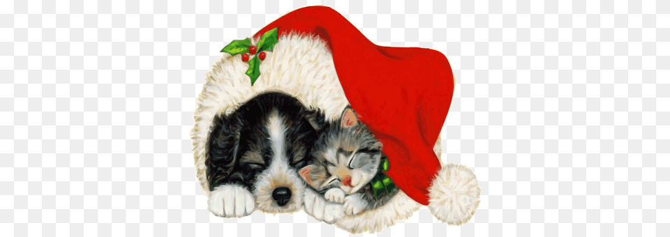 Dog Clothing, Hat, Animal, Cat Png