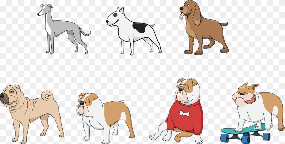 Dog, Animal, Canine, Mammal, Pet Free Png