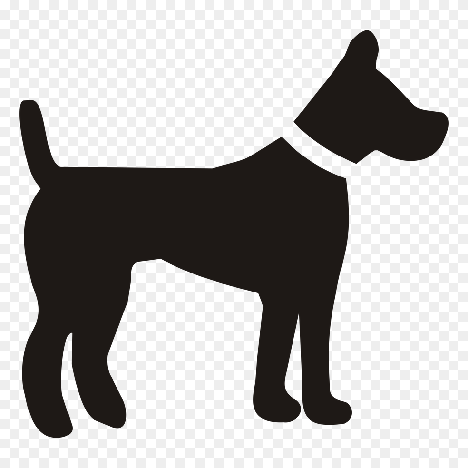 Dog, Accessories, Animal, Canine, Mammal Free Png