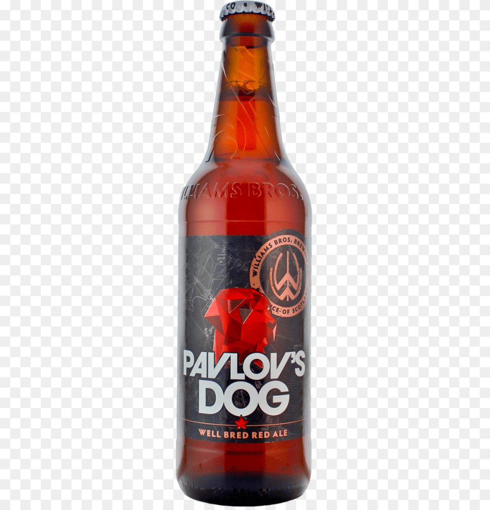 Dog, Alcohol, Beer, Beer Bottle, Beverage Png