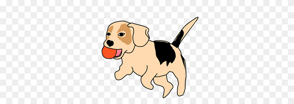 Dog Animal, Canine, Hound, Mammal Png