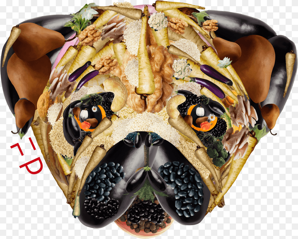 Dog, Food, Plate, Fruit, Produce Free Transparent Png