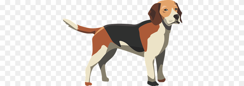 Dog Animal, Mammal, Hound, Pet Png Image