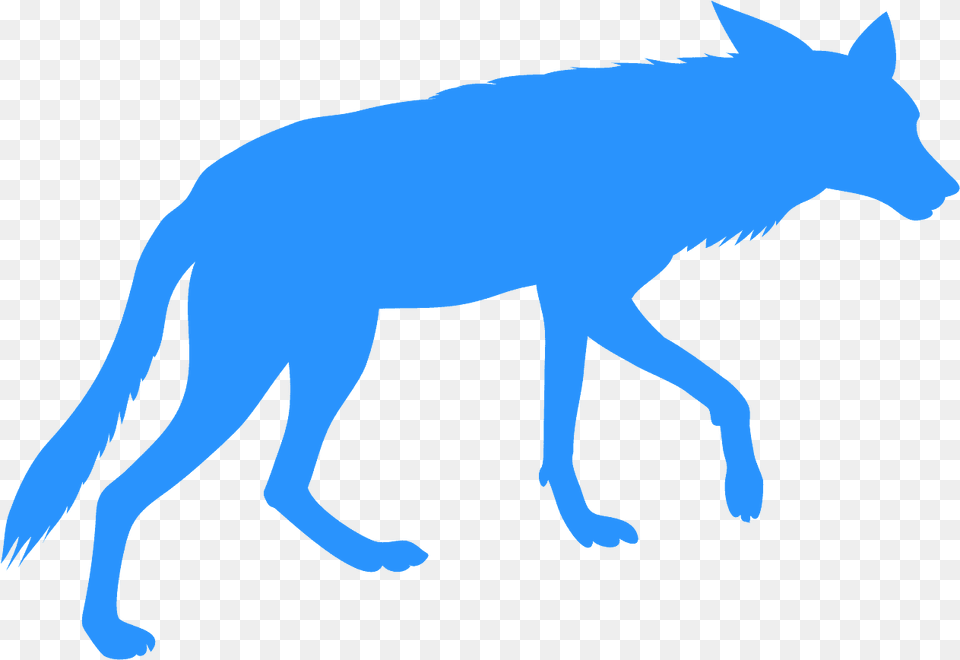 Dog, Animal, Coyote, Mammal, Wolf Free Png Download
