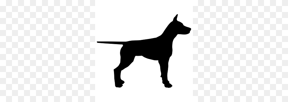 Dog Silhouette, Stencil, Animal, Canine Png Image