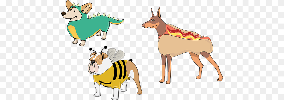 Dog Animal, Kangaroo, Mammal Free Png