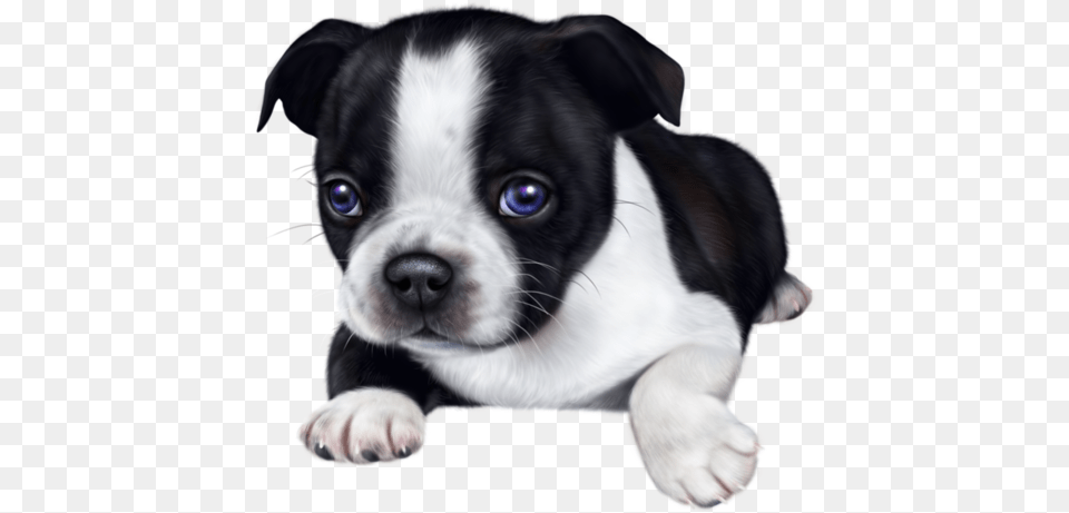 Dog, Animal, Canine, Mammal, Pet Png