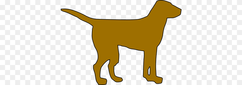 Dog Animal, Canine, Mammal, Pet Png