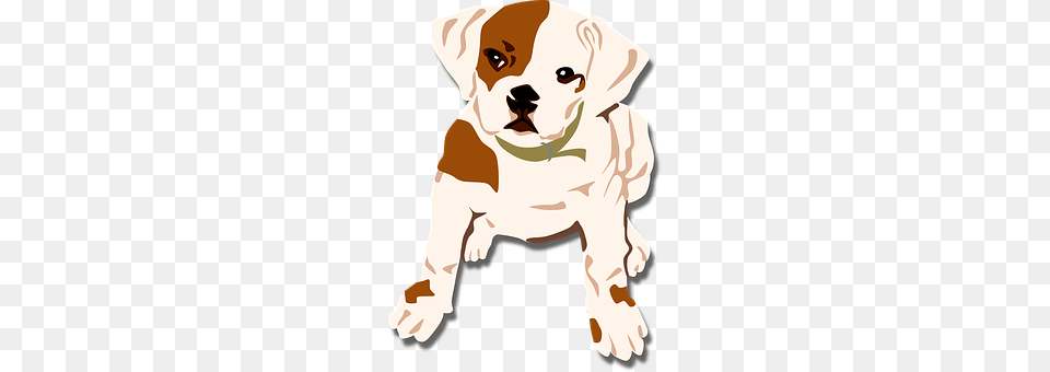 Dog Animal, Baby, Canine, Mammal Free Transparent Png