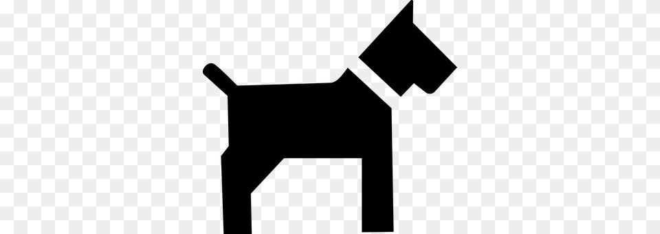 Dog Gray Png Image