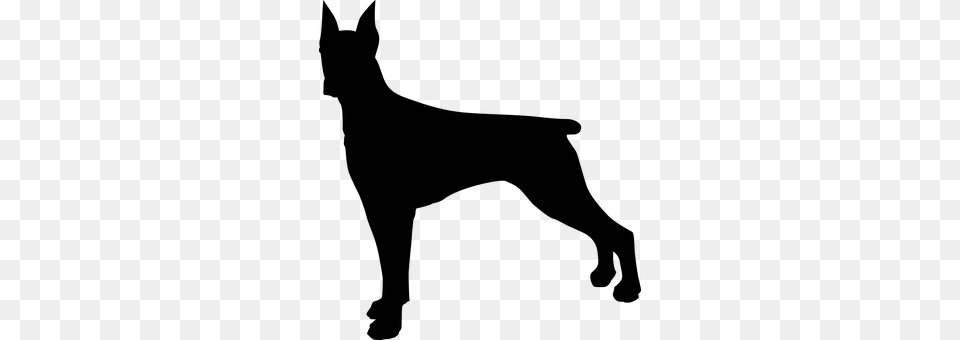 Dog Gray Free Png