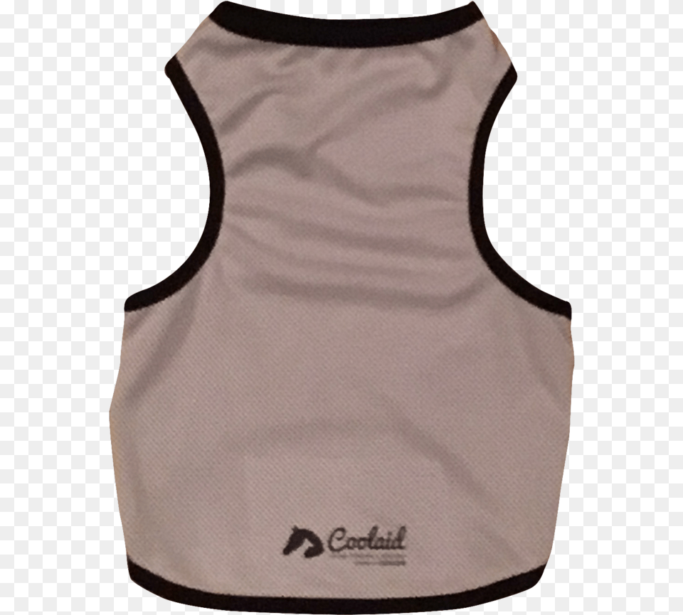 Dog, Person, Bib Free Png