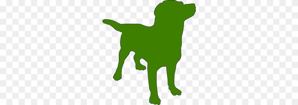Dog Animal, Canine, Labrador Retriever, Mammal Free Png