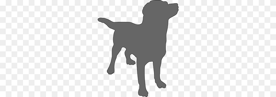 Dog Silhouette, Animal, Canine, Labrador Retriever Free Png Download