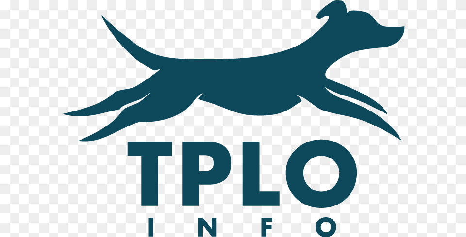 Dog, Logo, Animal, Fish, Sea Life Free Transparent Png