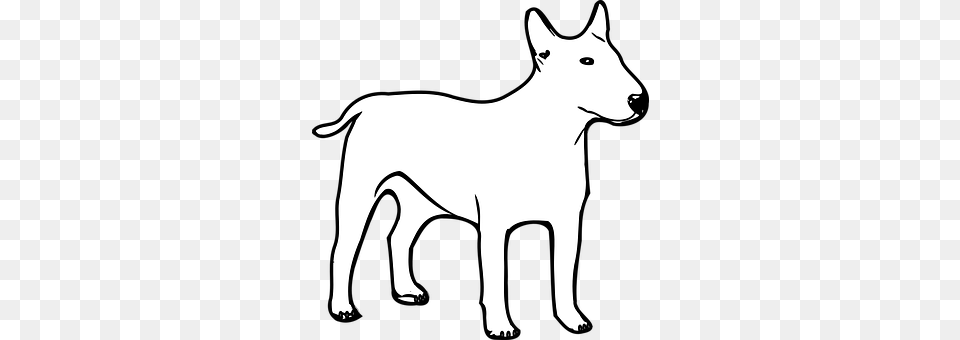 Dog Animal, Canine, White Dog, Mammal Free Png