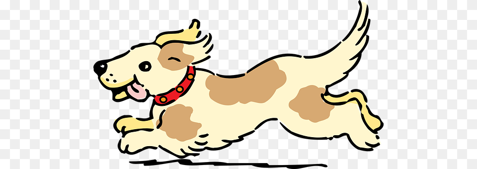 Dog Accessories, Animal, Canine, Puppy Png Image
