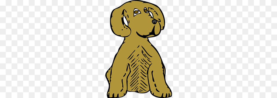 Dog Baby, Person, Animal, Lion Free Png Download