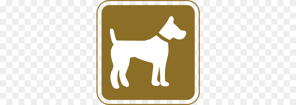 Dog Animal, Canine, Mammal, Pet Free Transparent Png